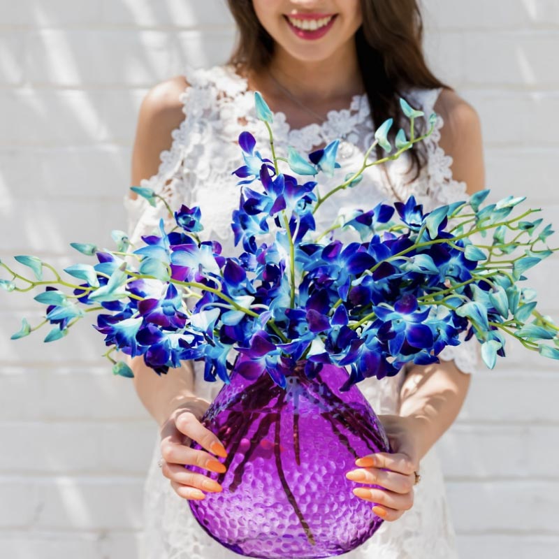 ugc-image-orchids-140953.jpg