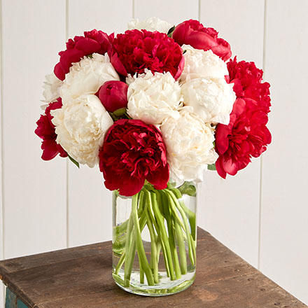 peonies silo 191761 440x440