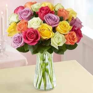 24 Assorted Roses in Clear Vase >