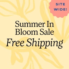 Shop Now >