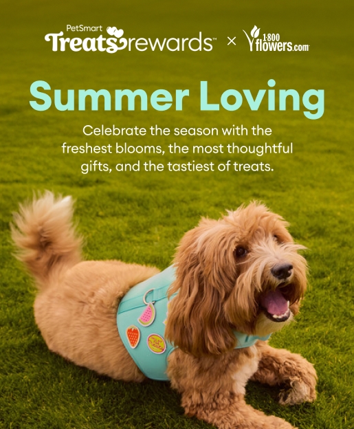 Pet Smart
