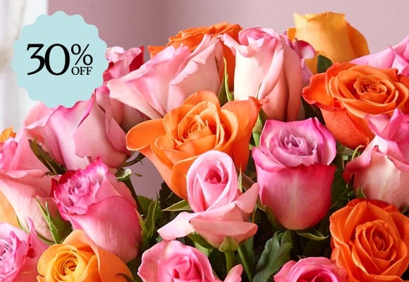 Deal of the Week >