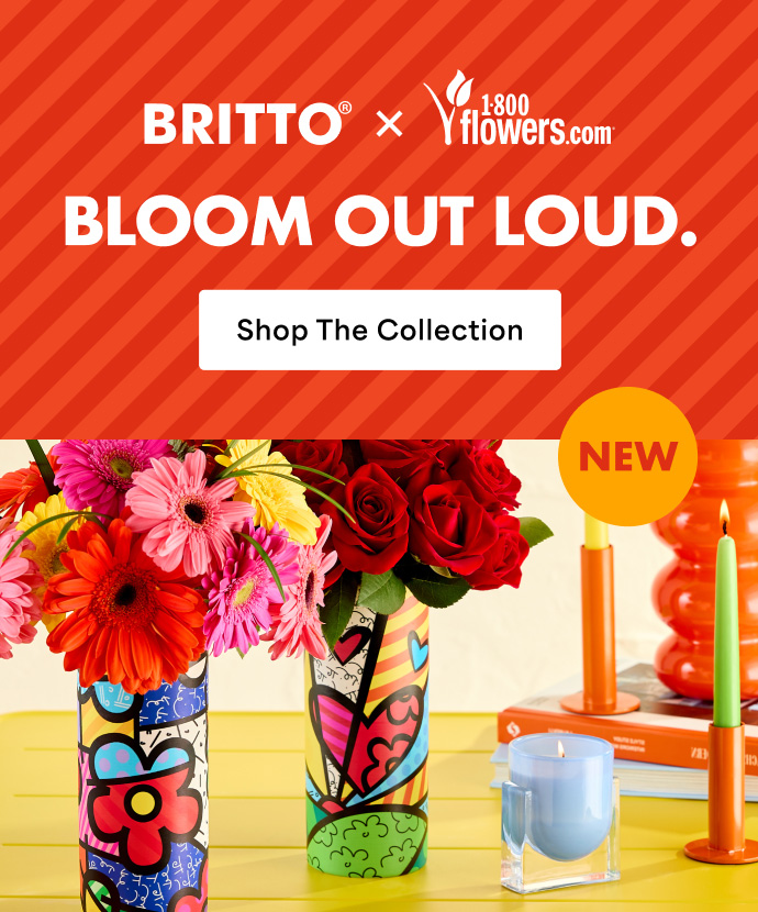 BRITTO®