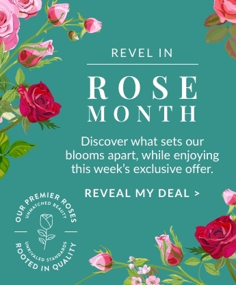 Rose Month Deal