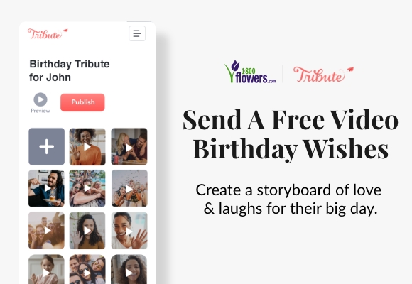 Send a Free Group Video >