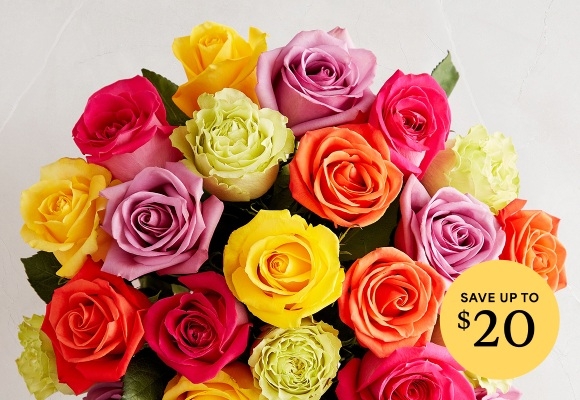 Deal of the Week >