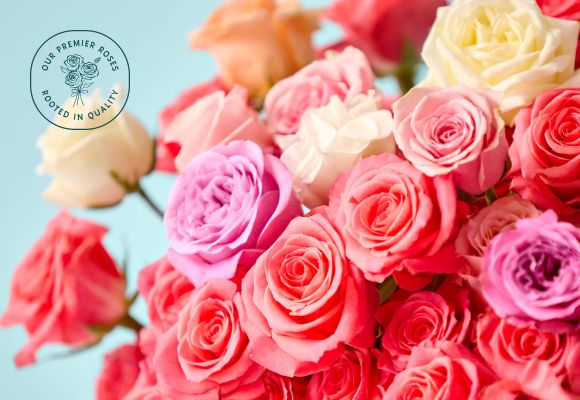 Rose Deals: Save 40% >