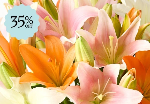 Deal of the Week >