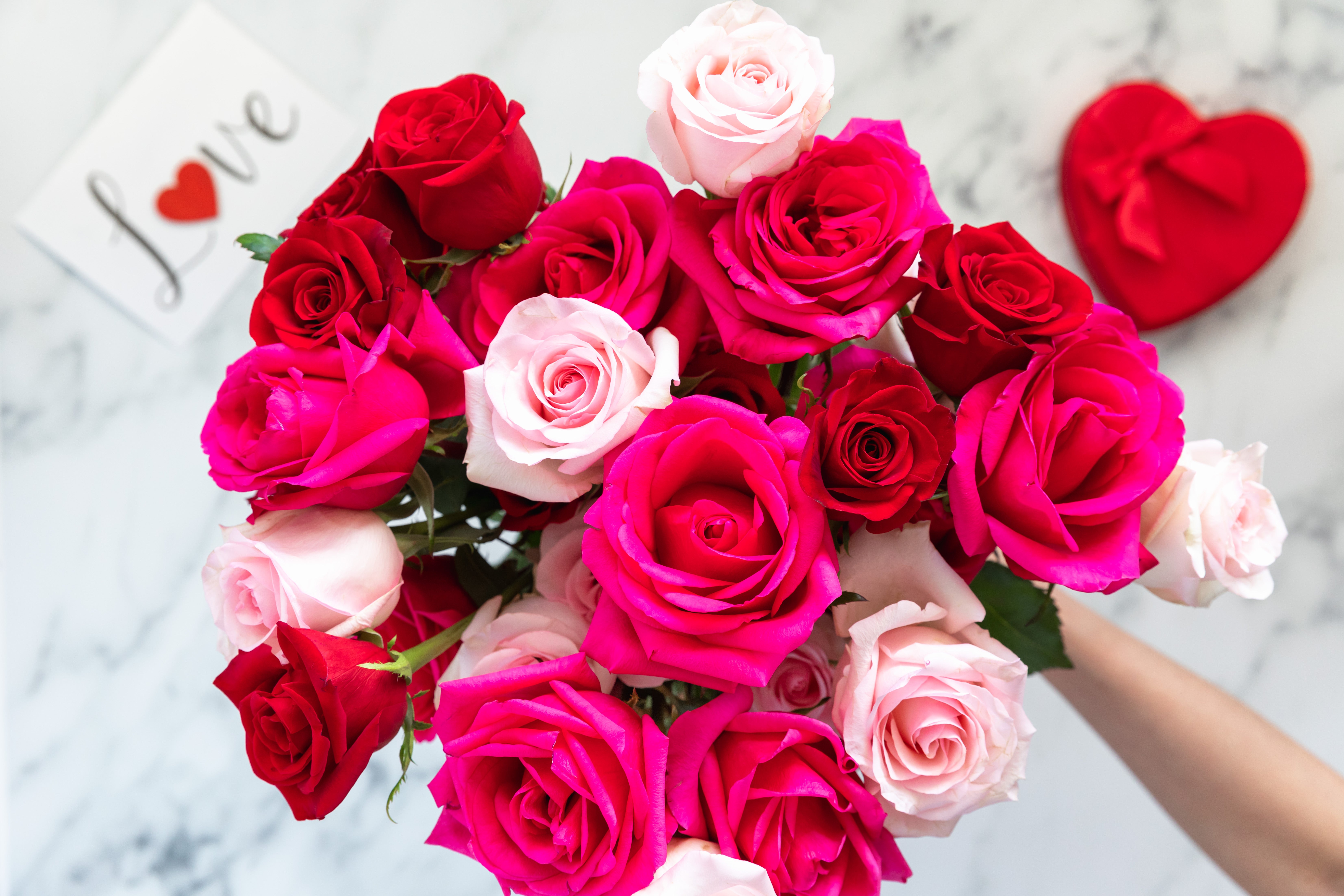 ### Pink Roses ###