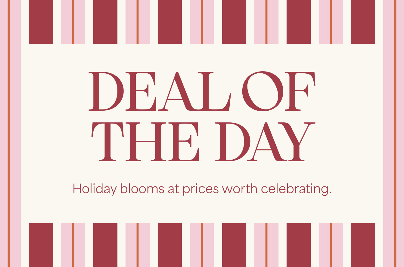 Deal Of The Week Flowers Image