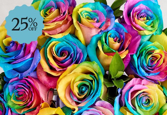 Deal of the Week >