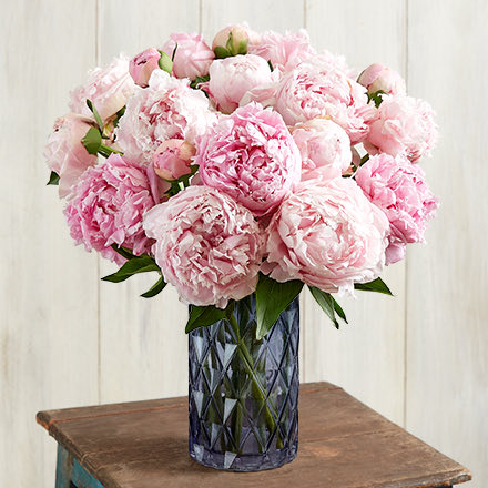 beautiful uncommon flowers precious peony bouquet 191237 440x440