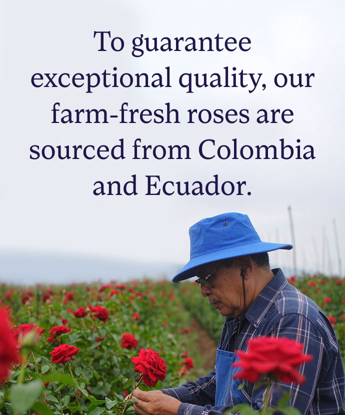 Colombia & Ecuador