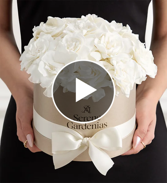 October's Bonsai - Rosemary | 1800Flowers.com