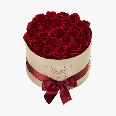 magnificent preserved roses festive flowers