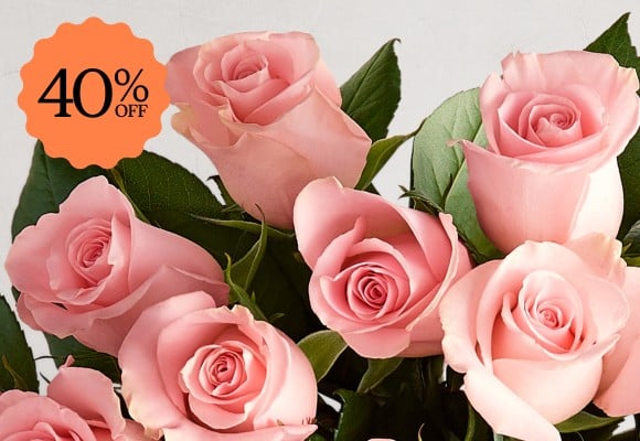 Deal of the Week >
