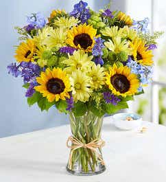 Flowers | Flower Delivery | Fresh Flowers Online | 1-800-Flowers.com