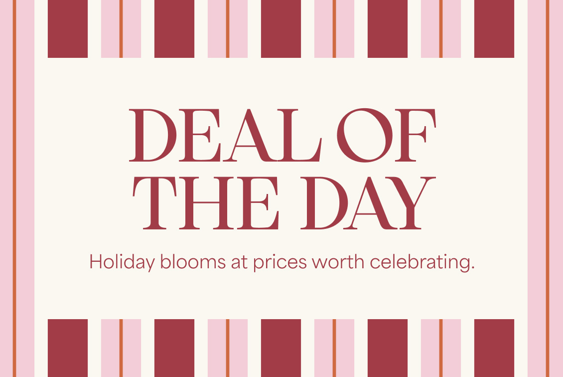 Deal Of The Week Flowers Image