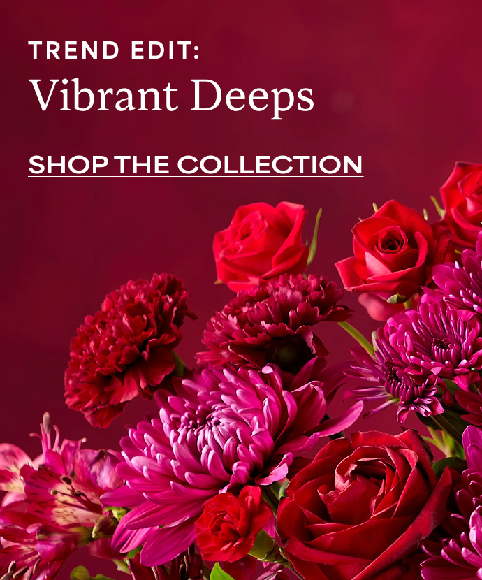 Shop The Collection
