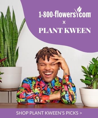 Plant Kween
