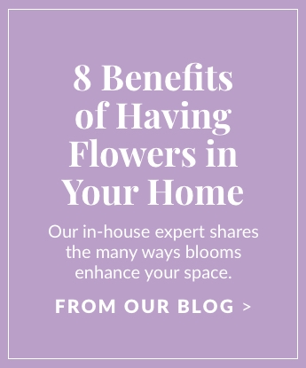 8 Benefits of Having Flowers in Your Home