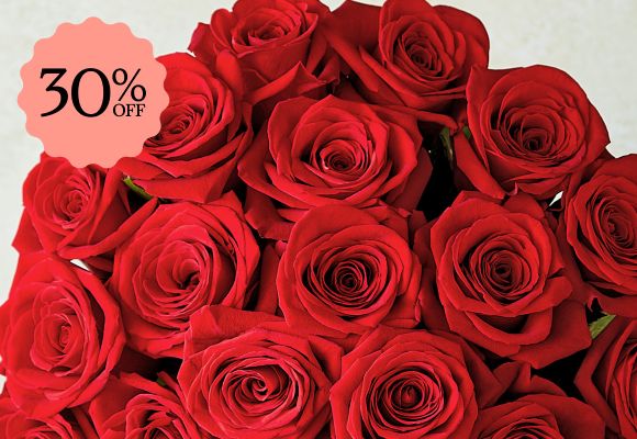 Deal of the Week >