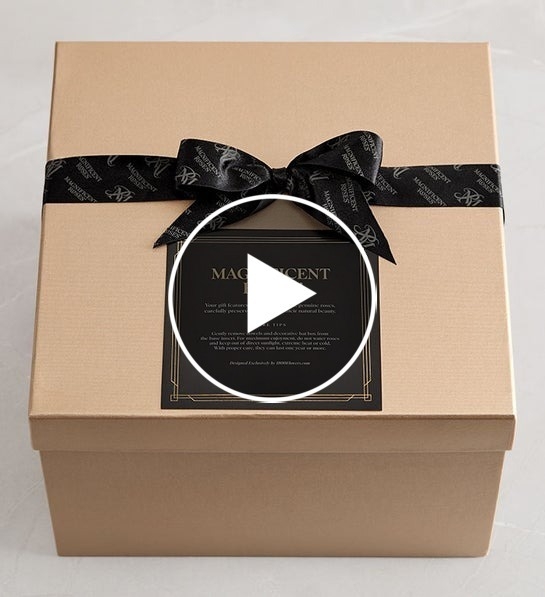 magnificent roses preserved black roses 195640 v3