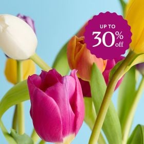 Spring in Bloom Sale >