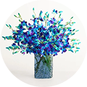 hp reviews ocean breeze orchids 140953