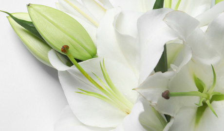 Free Postage With Sympathy Card Memorial Bereavement Funeral Lily & Cross