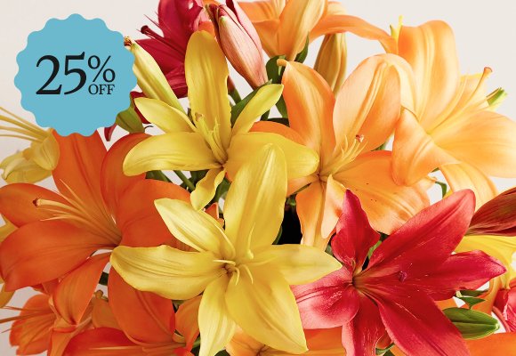 Deal of the Week >