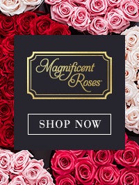 Mag Roses Banner