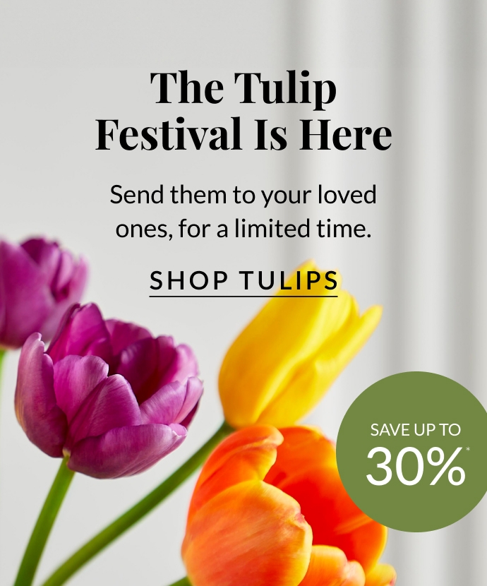 Tulip Festival