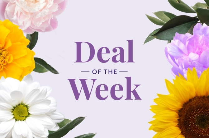 Deal Of The Week Flowers