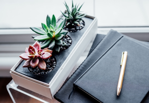 
Administrative Professionals Day (4/26) >
