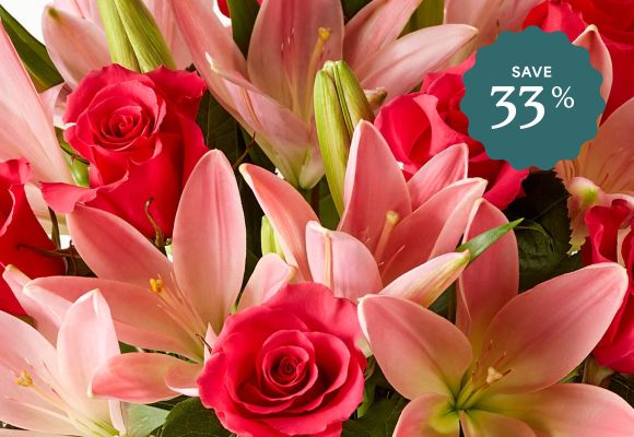 Deal of the Week >