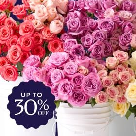 National Rose Month >