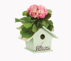 Bird House of Blooms®