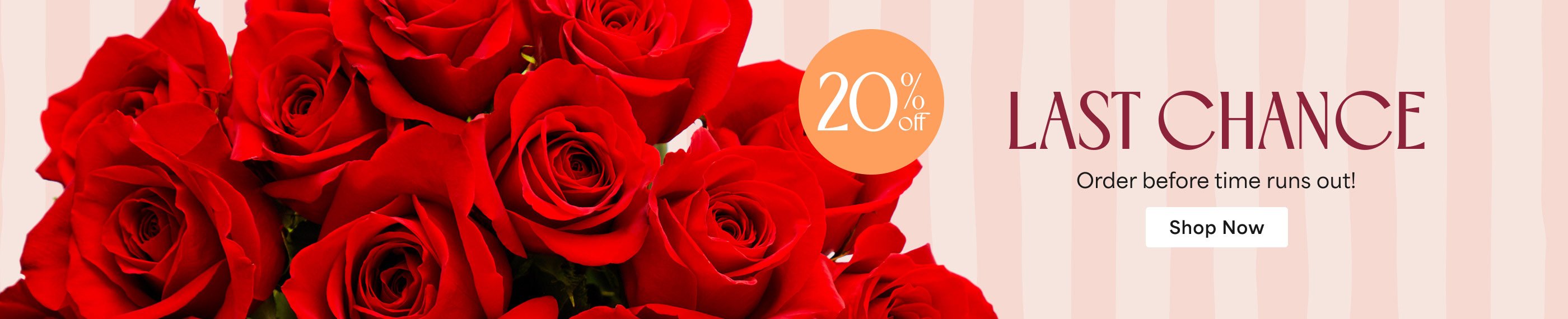 Click here for 20% off on Valentine's gifts!