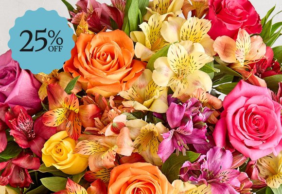 Deal of the Week >
