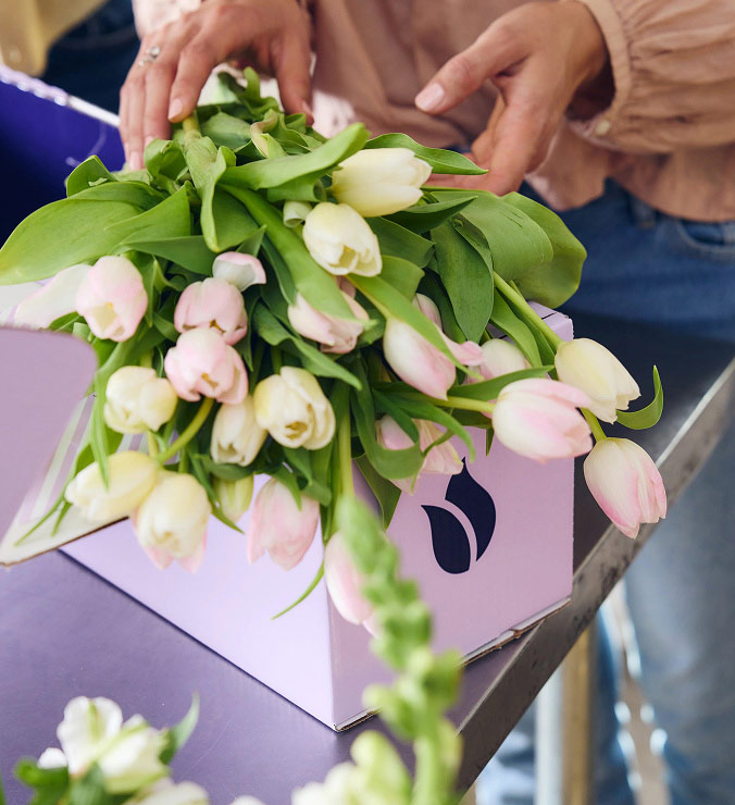 Shop tulip bouquets