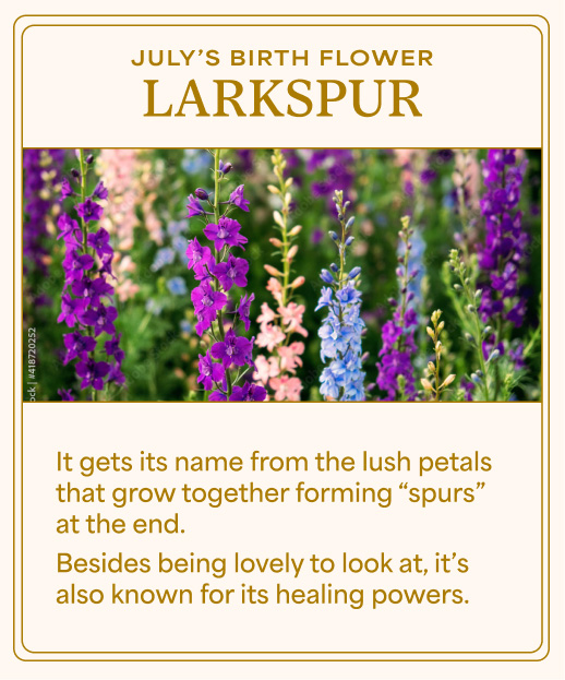 Larkspur