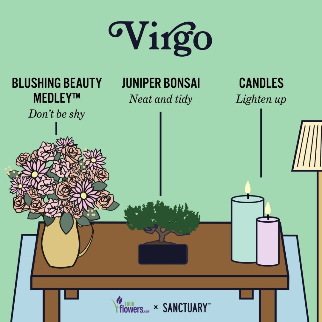 Virgo Zodiac Gifts
