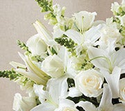 Appropiate Funeral Flowers & Sympathy Gifts