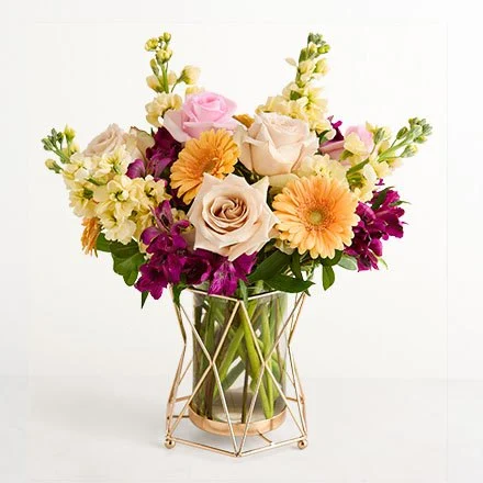 Shop Just Because Flowers