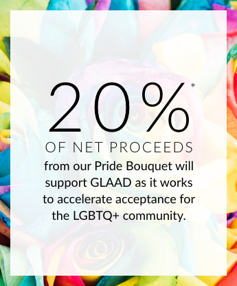 20% of Net Proceeds