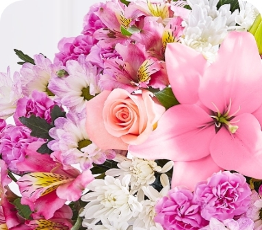 Floral Subscription Cards