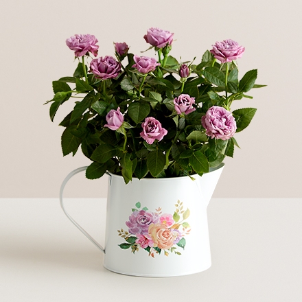 plant sale silo 158610 440x440