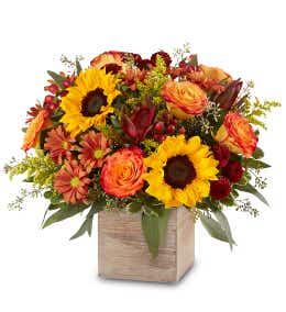 Sick As A Dog™ : Delavan, WI Florist : Same Day Flower Delivery for any  occasion