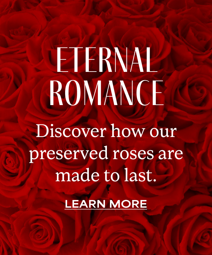 What Are Preserved Roses?